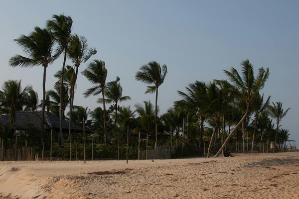 Optimisez vos voyages grâce à un planificateur sur mesure